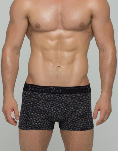 Salvador Dali SD2023-2 Трусы-боксеры мужские черные (х1)