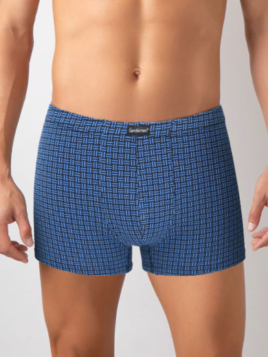 Gentlemen Трусы мужские GS7934 BIG шорты